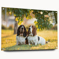 Basset Hound wall art collection featuring a side view of an acrylic glass design with decorative pins, showcasing vibrant colors and intricate details ideal for dog lovers.