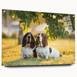 Basset Hound wall art collection featuring a side view of an acrylic glass design with decorative pins, showcasing vibrant colors and intricate details ideal for dog lovers.