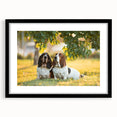 Basset Hound wall art framed in black with a white mat, showcasing a detailed illustration of a Basset Hound's face, perfect for dog lovers' home decor.
