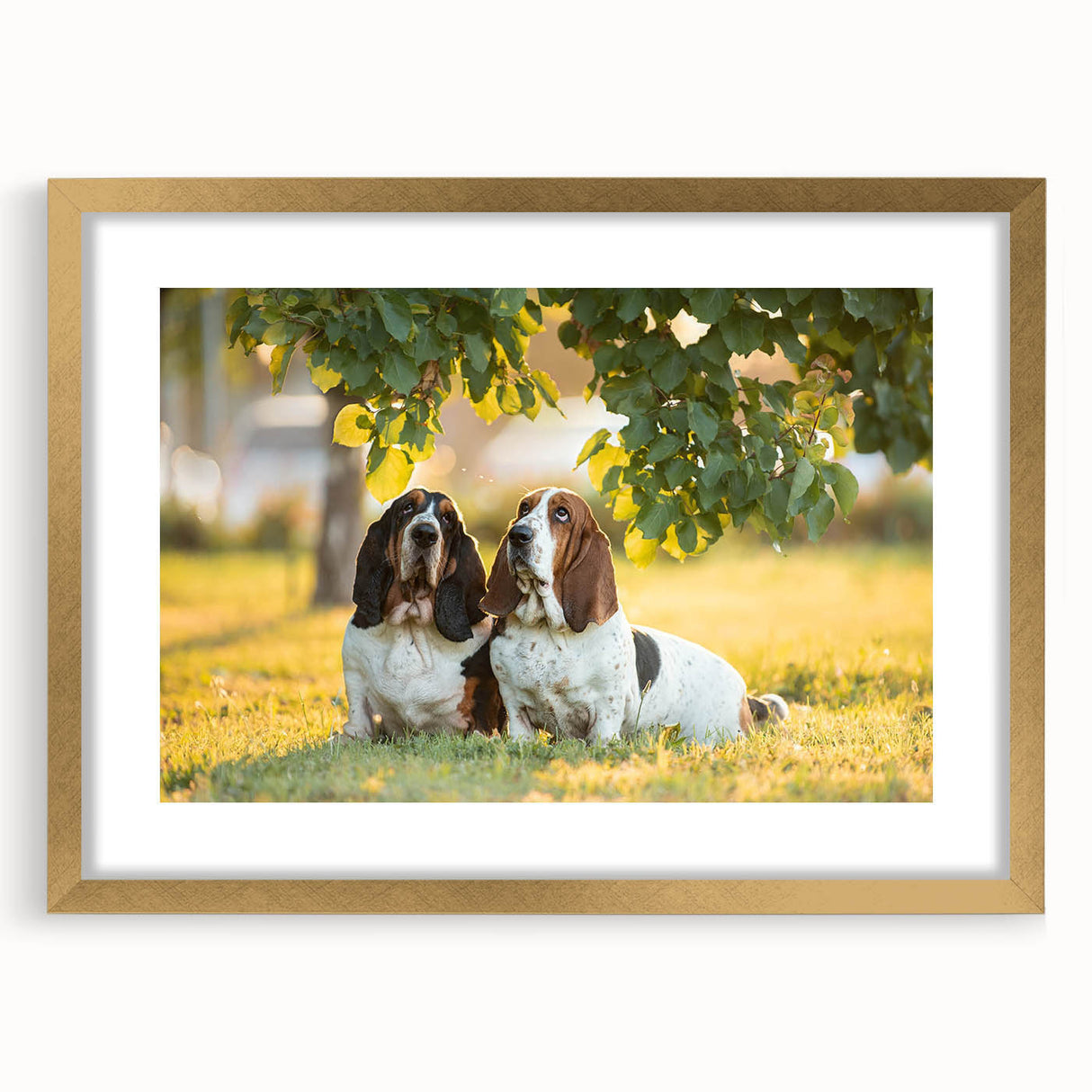 Gold-framed wall art featuring a charming Basset Hound design, elegantly matted, showcasing a playful and inviting aesthetic suitable for dog lovers and home decor enthusiasts.