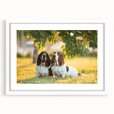 Basset Hound wall art collection framed with a white mat, showcasing a detailed illustration of a Basset Hound in a playful pose, perfect for dog lovers.