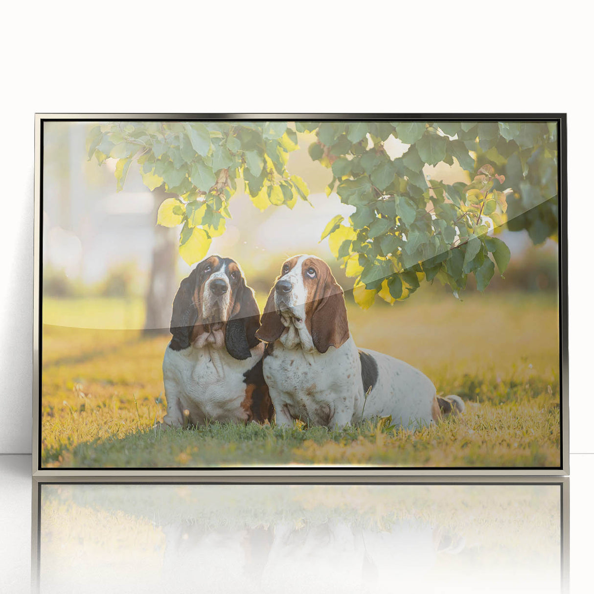 Framed wall art featuring a stylish Basset Hound design in an elegant silver frame, perfect for dog lovers looking to enhance their home decor with a unique touch.