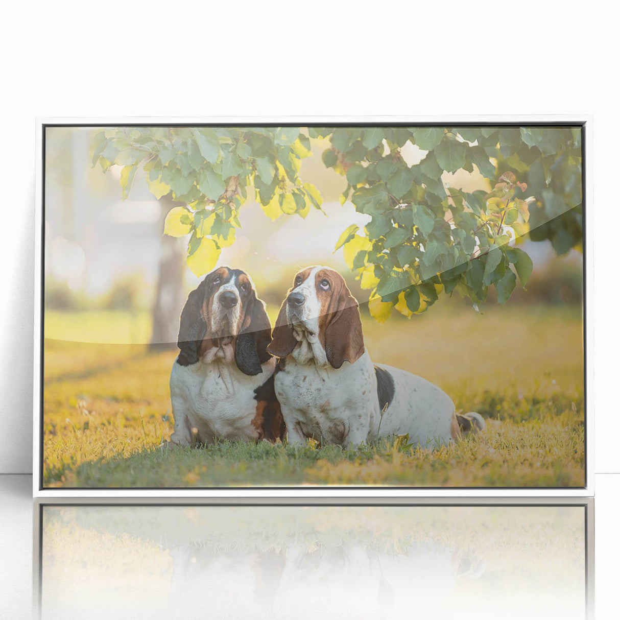 Basset Hound wall art collection featuring a framed acrylic design with a white border. Perfect for dog lovers to enhance home decor.