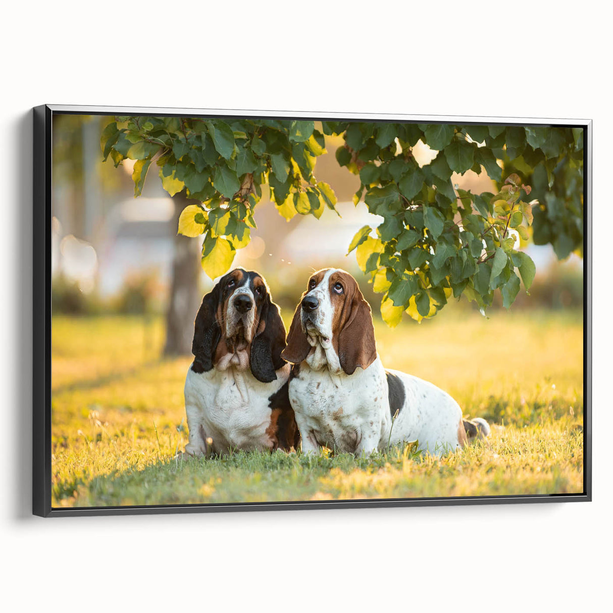 Framed canvas wall art featuring a side view of a Basset Hound design, showcasing the dog's distinctive long ears and unique coat patterns, ideal for dog lovers' decor.