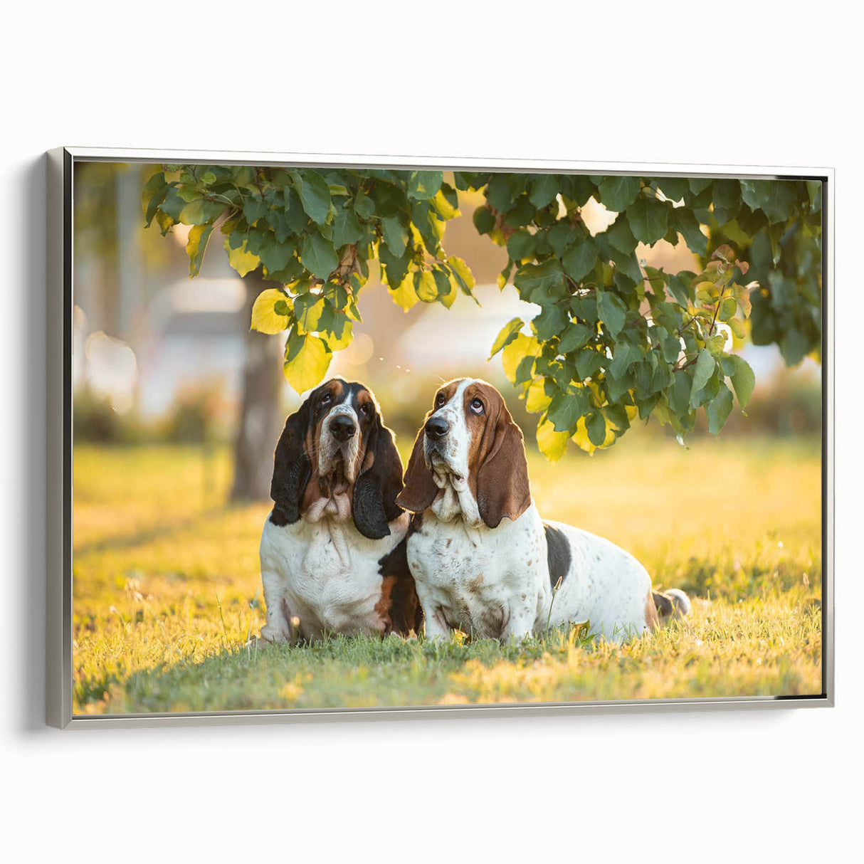 Framed canvas wall art featuring a side view of a Basset Hound design, showcasing intricate details and a silver frame, perfect for dog lovers' home decor.