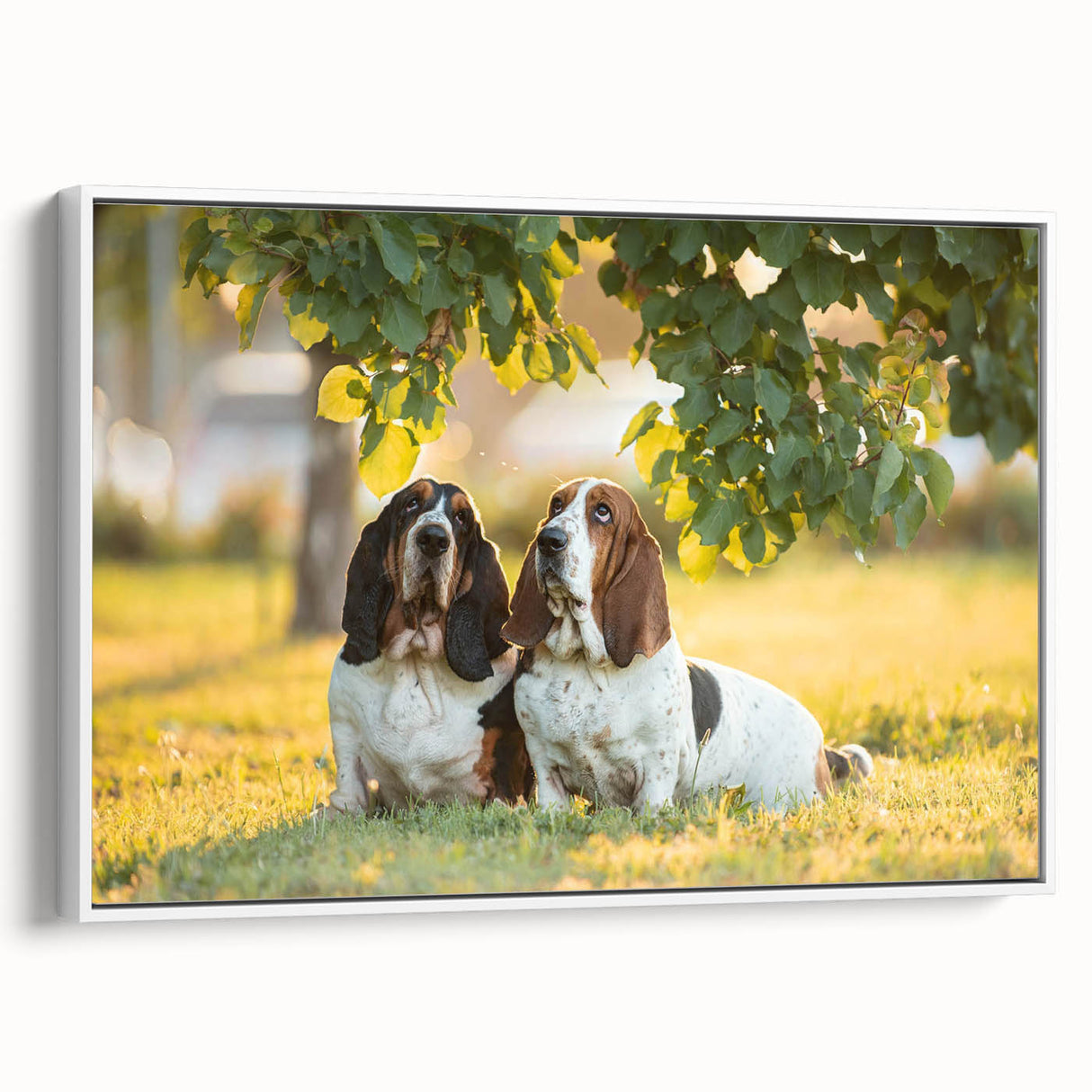 Framed wall art showcasing a Basset Hound design on a white canvas, highlighting the dog's distinctive droopy ears and expressive eyes, ideal for pet lovers.