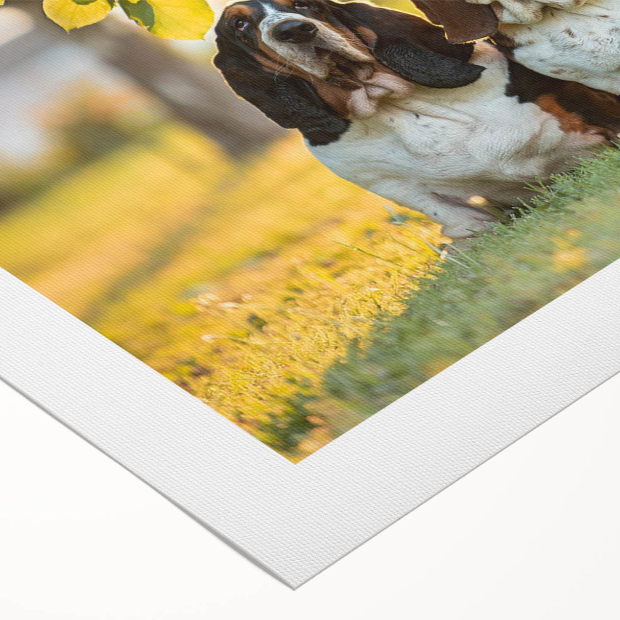 Basset Hound wall art design on rolled canvas, showcasing a playful basset hound in vibrant colors, ideal for dog lovers' home decor. Packaged securely for delivery.