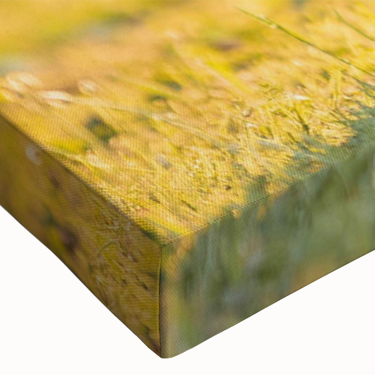 Close-up of a vibrant Basset Hound wall art design on stretched canvas, showcasing detailed textures and colors, perfect for dog lovers' home decor.