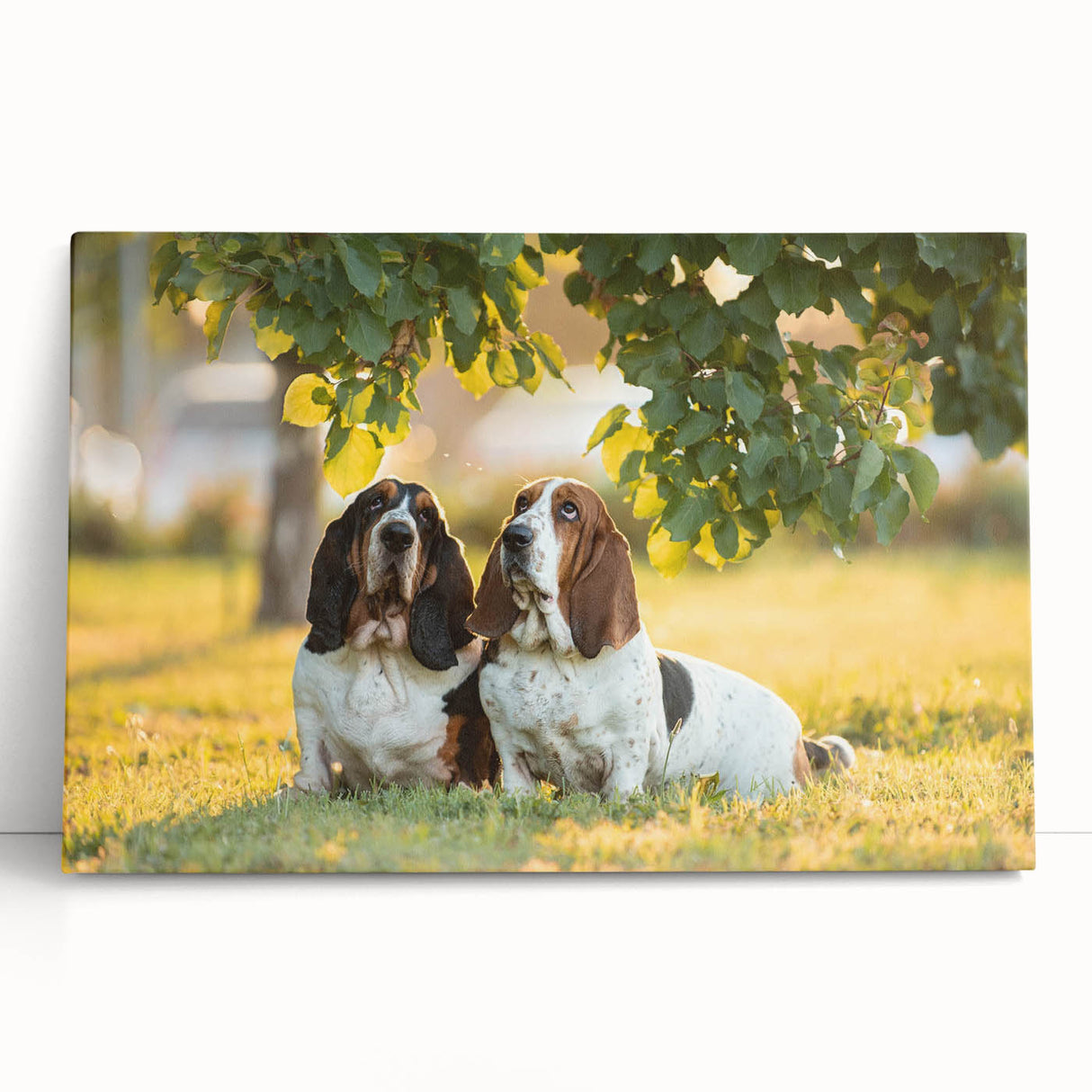 Basset Hound wall art collection displayed on stretched canvas, featuring a playful design in warm colors, perfect for dog lovers' home decor.