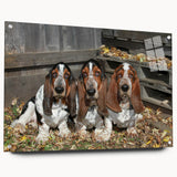 Basset Hound wall art design displayed in a sleek acrylic glass frame, showcasing a side view with color-rich details and decorative pins for hanging.