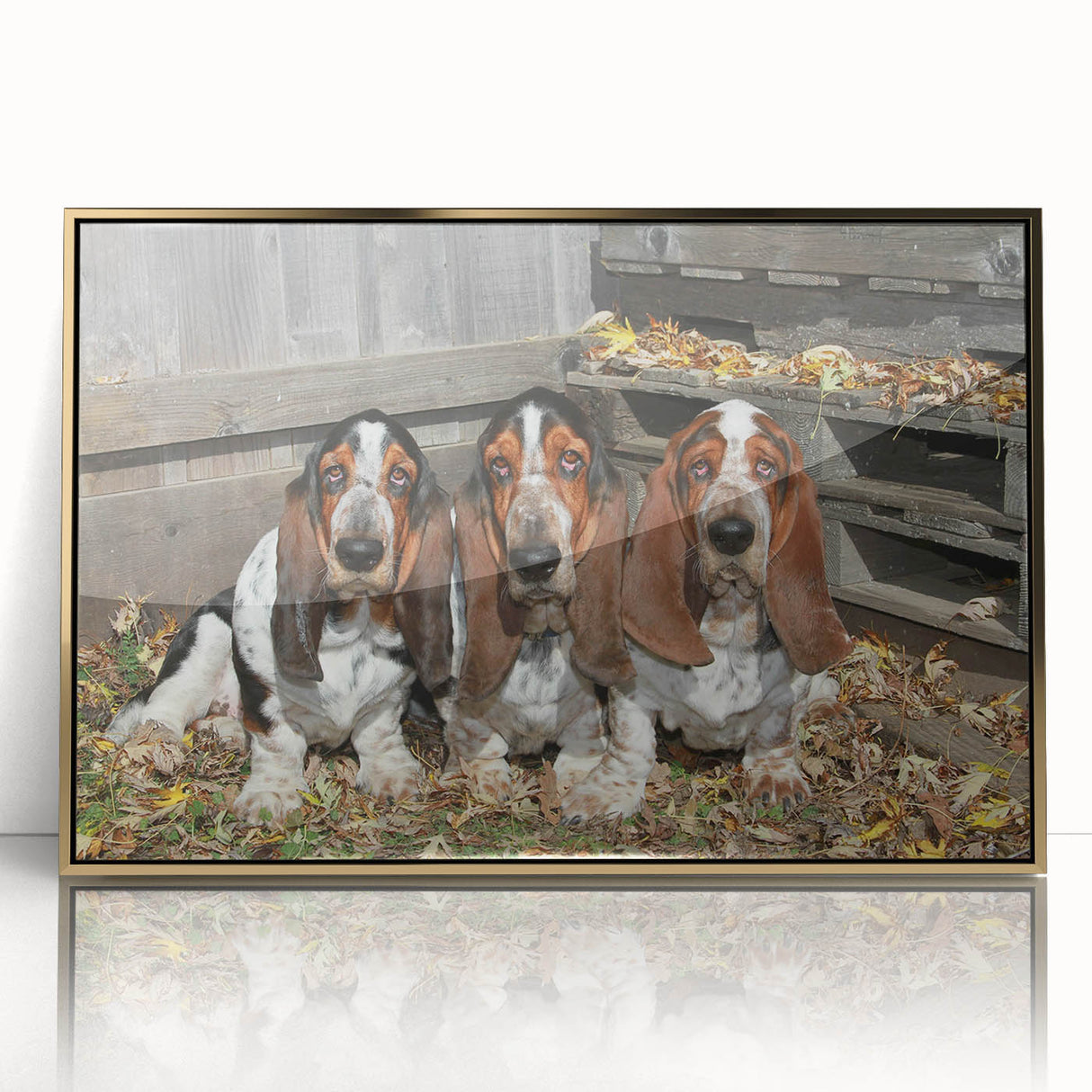 Framed wall art featuring a Basset Hound design with a gold-accented frame, showcasing the dog's distinct droopy ears and expressive face, perfect for pet lovers.
