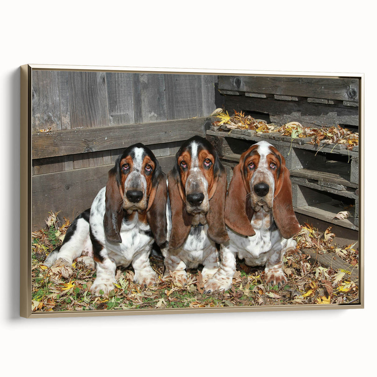 Framed wall art showcasing a side view of a Basset Hound design, featuring warm gold accents and a modern canvas texture, perfect for dog lovers' decor.