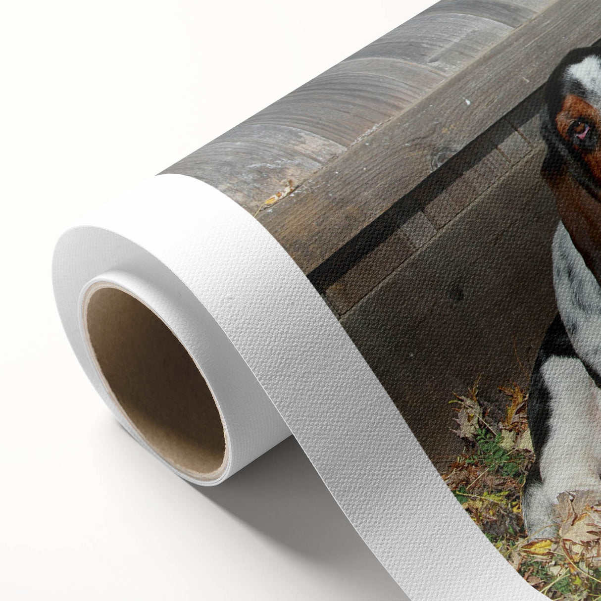 Basset Hound wall art design on rolled canvas, showcasing a vibrant illustration of a playful basset hound with rich colors and detailed textures, perfect for dog lovers.