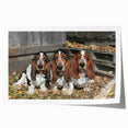 Basset Hound wall art print showcasing a playful design with vibrant colors, perfect for dog lovers and home decor enthusiasts, rolled for easy framing.