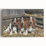 Basset Hound wall art canvas featuring a vibrant, detailed front view of the dog, ideal for pet lovers and home decor enthusiasts, showcasing rich colors and textures.