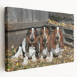Basset Hound wall art design on stretched canvas showcasing a side view, featuring warm colors and intricate detailing, perfect for dog lovers’ decor.