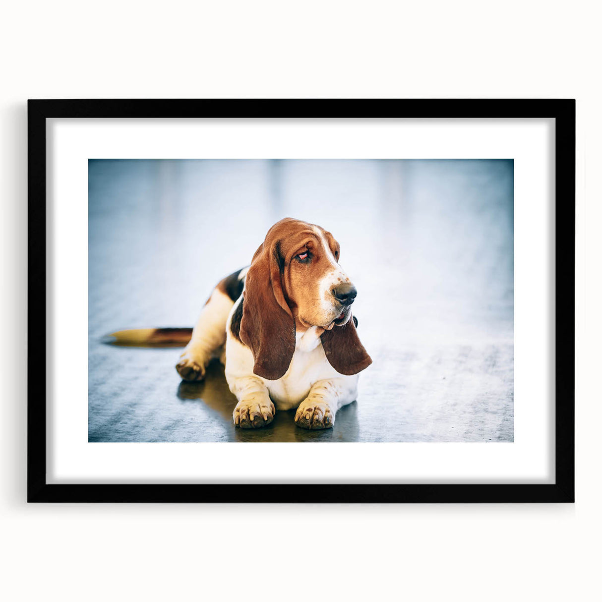Basset Hound wall art design framed in black, featuring a playful basset hound illustration with a white mat, ideal for dog lovers' home decor. Perfect for adding a touch of charm to any room.