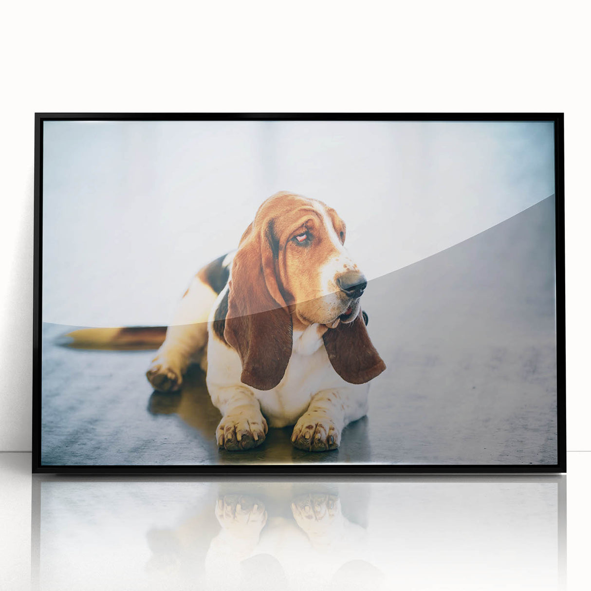 Framed wall art featuring a Basset Hound design, showcasing a black acrylic frame and vibrant colors, perfect for dog lovers and home decor enthusiasts.