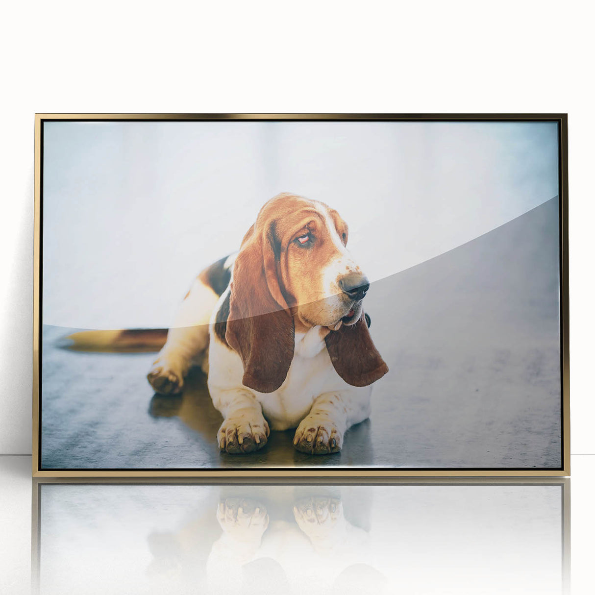 Framed wall art showcasing a Basset Hound design in acrylic with a gold frame, ideal for dog lovers and home decor enthusiasts, capturing the breed's charm.