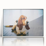 Framed wall art featuring a Basset Hound design, presented in a modern white frame with an acrylic front, ideal for dog lovers and home decor. Perfect for adding a touch of canine charm to any room.