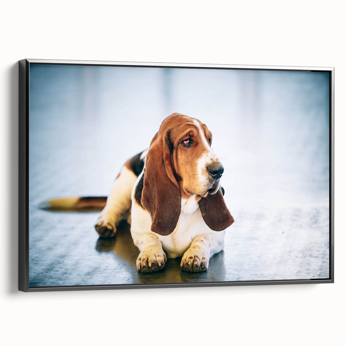 Framed canvas wall art featuring a Basset Hound design in a sleek black frame, showcasing the dog’s playful side profile against a light background, ideal for pet lovers.