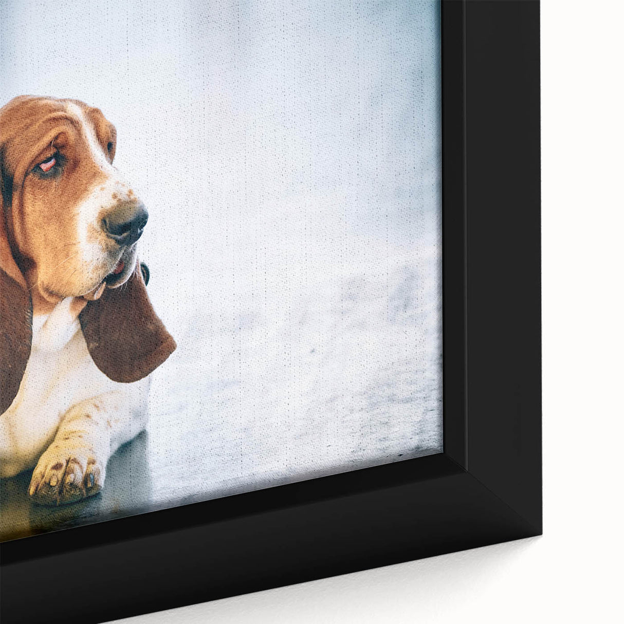 Close-up of a framed canvas wall art featuring a playful Basset Hound design, showcasing rich colors and intricate details, perfect for dog lovers' home decor.