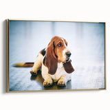 Basset Hound wall art collection featuring a framed canvas in gold, showcasing a side view of a cute Basset Hound dog, perfect for pet lovers' home decor.