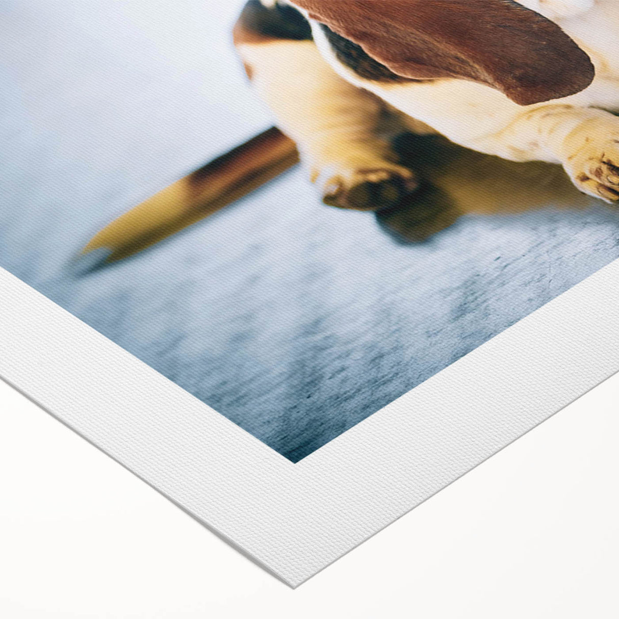Basset Hound wall art collection on rolled canvas, showcasing a whimsical design with vibrant colors, ideal for dog lovers and home decor enthusiasts.
