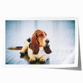 Basset hound wall art print featuring a whimsical illustration of a basset hound in vibrant colors, ideal for dog lovers and home decor enthusiasts.