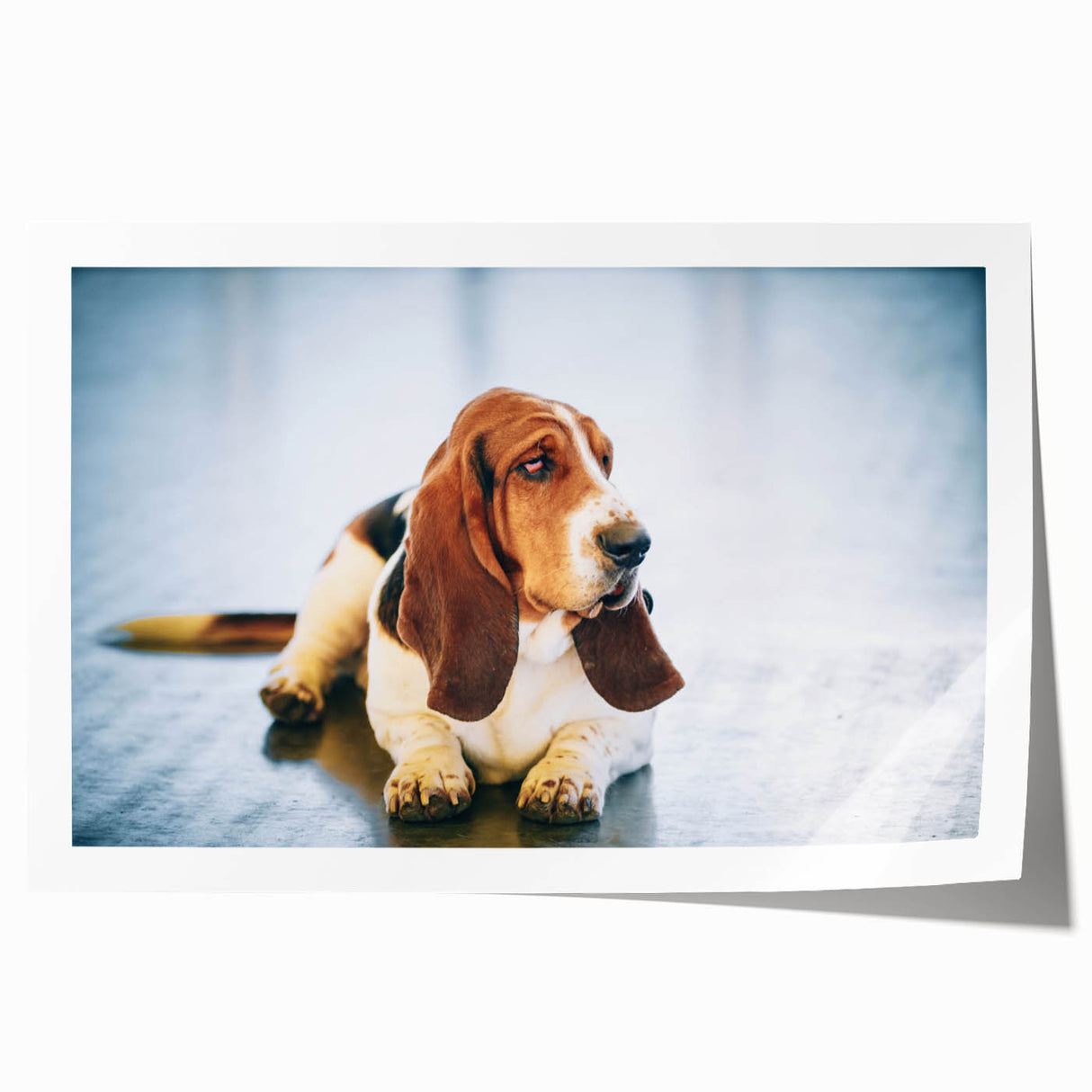 Basset hound wall art print featuring a whimsical illustration of a basset hound in vibrant colors, ideal for dog lovers and home decor enthusiasts.