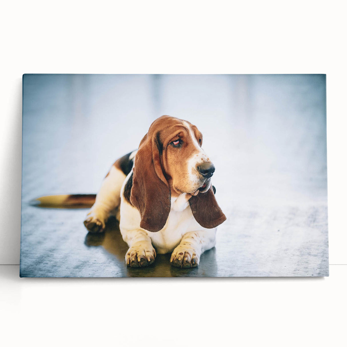Stretched canvas wall art featuring a playful Basset Hound design, showcasing rich colors and intricate details, perfect for dog lovers' home decor.