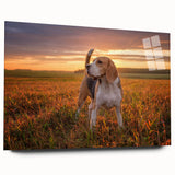 Beagle wall art collection displayed in an acrylic glass frame, showcasing a vibrant design of a beagle in a side view, perfect for dog lovers' decor.
