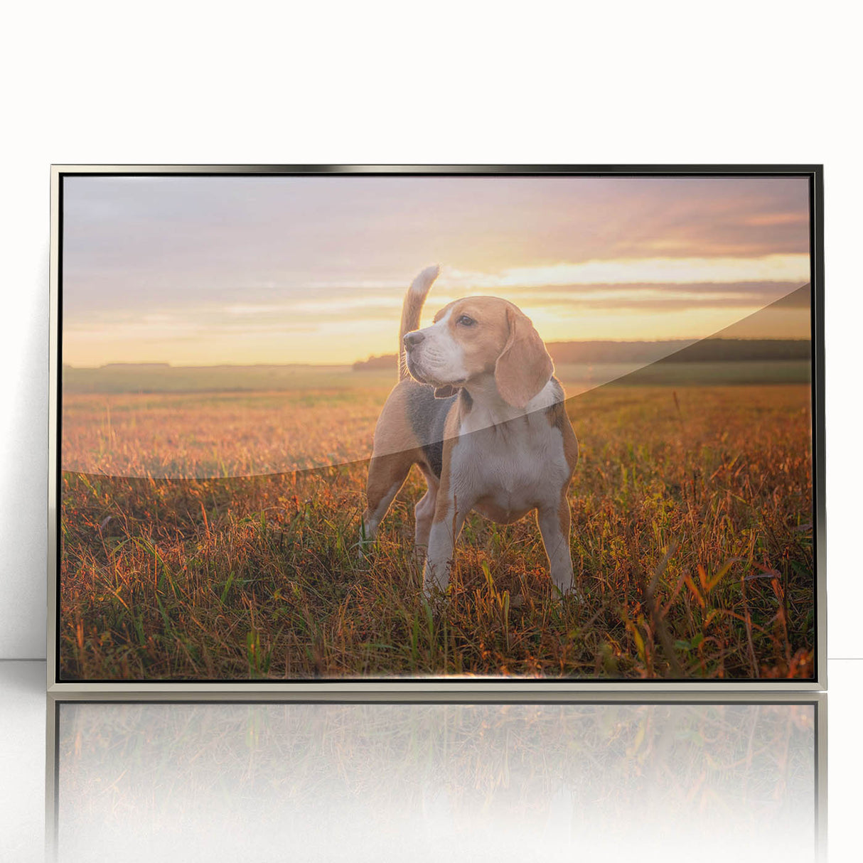 Framed wall art collection showcasing a Beagle dog design in a sleek silver frame, featuring vibrant colors and fine details, perfect for pet lovers' decor.