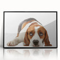 Framed wall art featuring a stylish black and white beagle design, showcasing intricate details and a modern aesthetic, perfect for dog lovers and home decor enthusiasts.