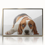 Beagle wall art design featuring a framed acrylic piece with a gold border, showcasing a front view of the adorable breed against a sleek display background. Perfect for dog lovers’ home decor.
