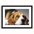 Framed wall art collection featuring a beagle design, showcasing a black frame and mat, ideal for dog lovers and home decor. Perfect addition to any room.