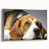 Framed canvas wall art featuring a Beagle dog design in a silver frame, showcasing a side view of the charming breed against a neutral background. Ideal for dog lovers and home decor enthusiasts.