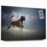 Boxer dog wall art display featuring an acrylic glass design showing a side view of a playful boxer dog, ideal for home decor and animal lovers.