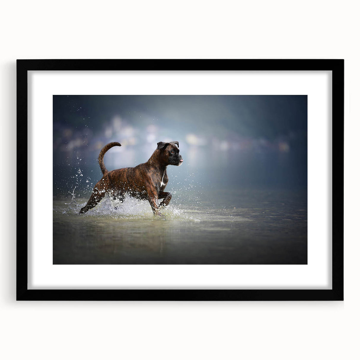 Black-framed wall art featuring a stylish boxer dog design, elegantly matted for display. Ideal for dog lovers, this piece enhances home decor with charm.