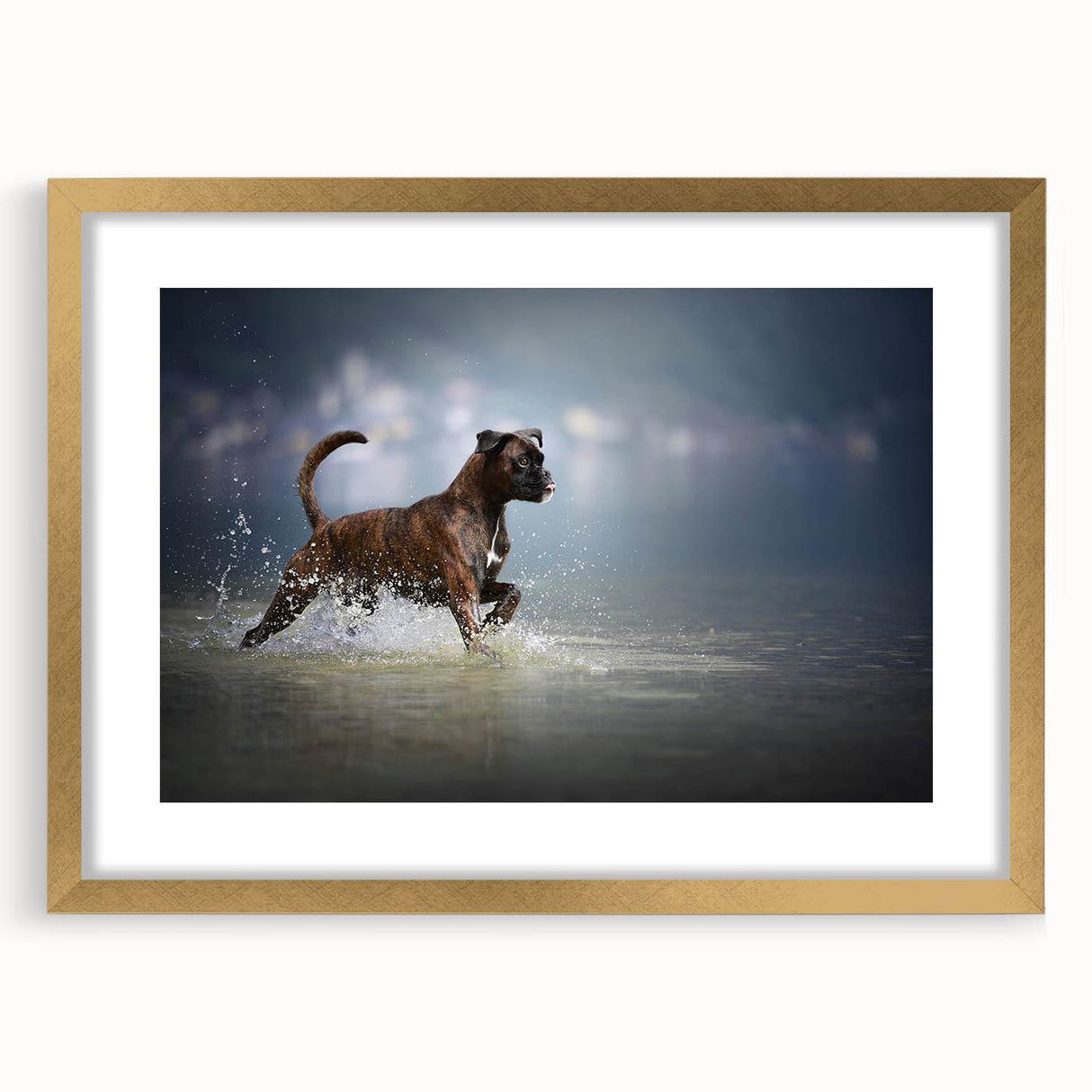 Boxer dog-themed wall art collection framed in gold with a mat, showcasing a vibrant design that captures the playful spirit of the breed, perfect for pet lovers.