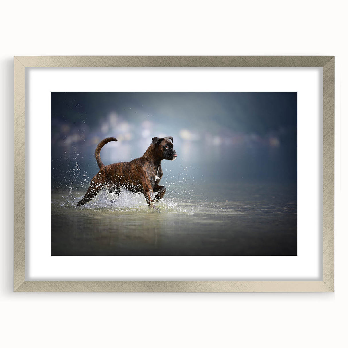 Boxer dog wall art framed in silver with a mat, showcasing a vibrant design that captures the playful personality of boxers, perfect for pet lovers' decor.