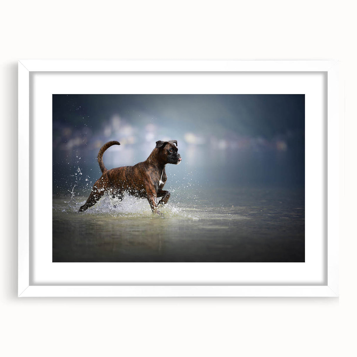 Framed wall art featuring a stylish boxer dog design with a white mat, perfect for home decor. This piece adds a modern touch to any dog lover's space.