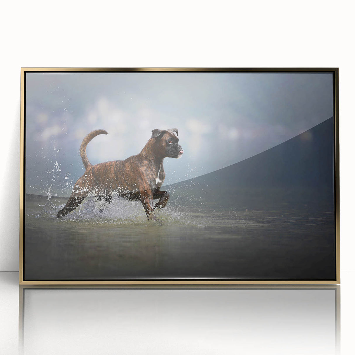 Framed wall art featuring a striking gold-accented design of a boxer dog, showcasing intricate details and vibrant colors, perfect for pet lovers' home decor.