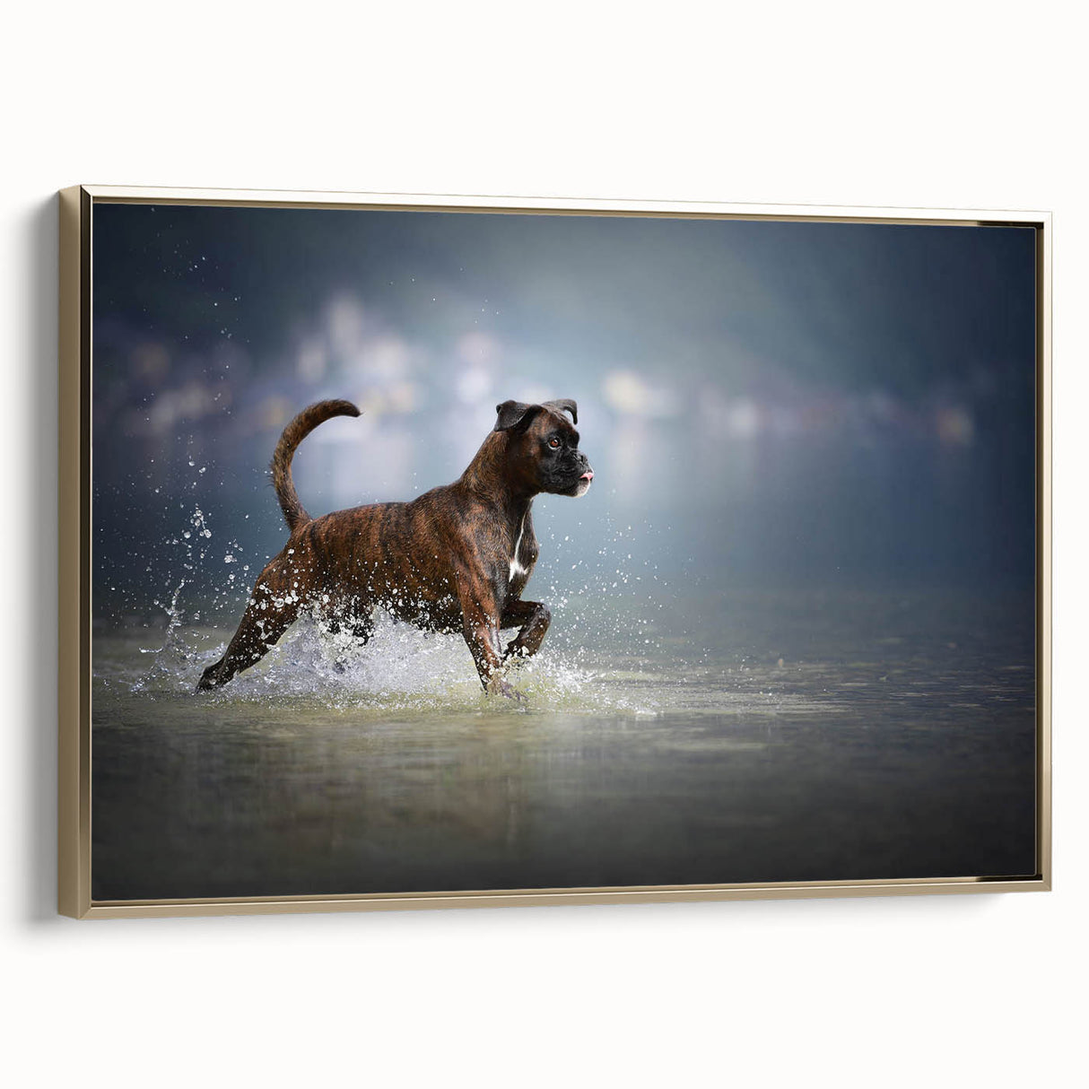 Boxer dog wall art design in a stylish framed canvas, showcasing a gold frame, set against a neutral background. Perfect for pet lovers and home decor enthusiasts.