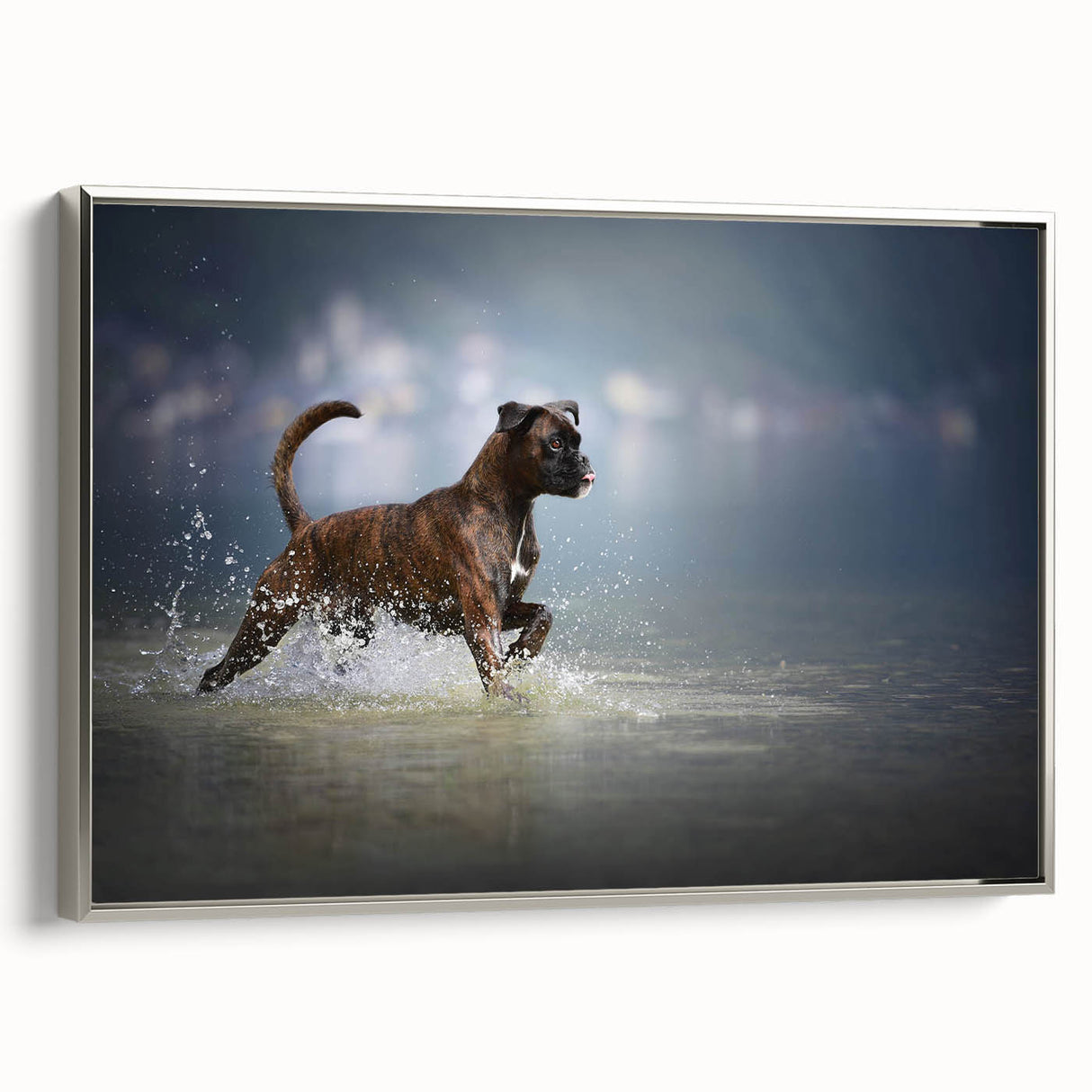 Framed wall art featuring a stylish silver-framed canvas print of a boxer dog design, showcasing vibrant colors and intricate details, perfect for pet lovers' home decor.