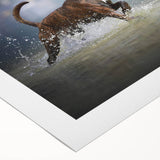 Boxer dog wall art design on rolled canvas, showcasing vibrant colors and intricate details, ideal for pet lovers and home decor enthusiasts.