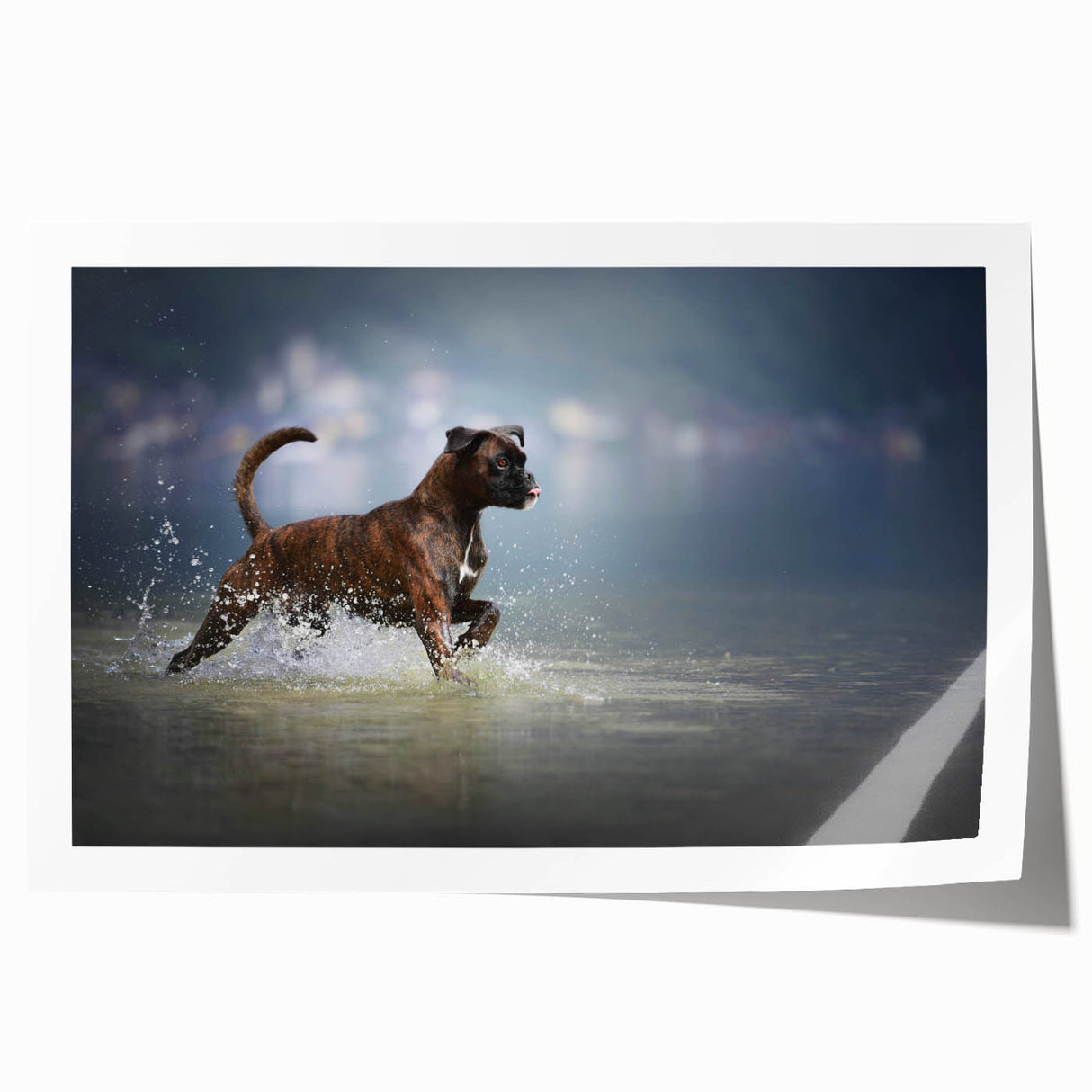 Boxer dog wall art print showcasing a playful and colorful design, featuring vibrant hues and a whimsical illustration style, perfect for pet lovers' home decor.