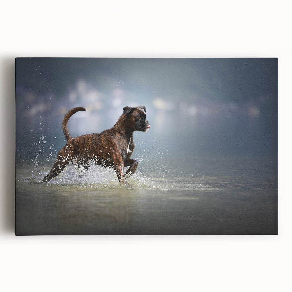 Stretched canvas wall art featuring a vibrant Boxer dog design, showcasing the dog's expressive face and playful demeanor, perfect for pet lovers’ home decor.