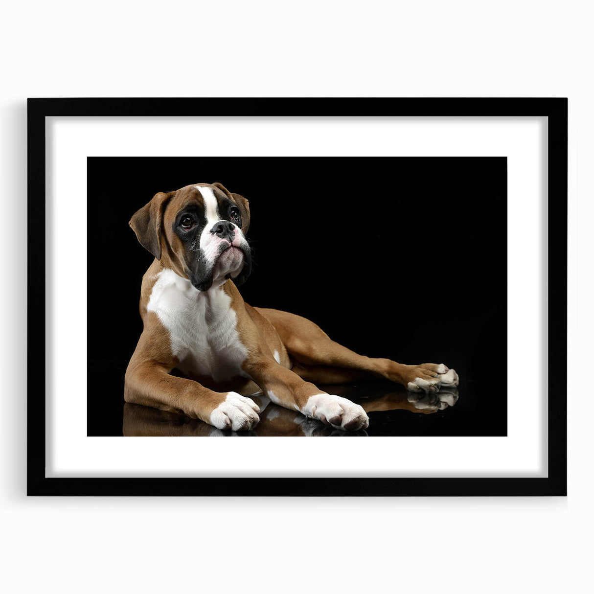 Boxer dog wall art design featuring a framed print with a black mat, showcasing a playful and vibrant illustration of a boxer dog in a modern setting. Ideal for pet lovers and home decor enthusiasts.