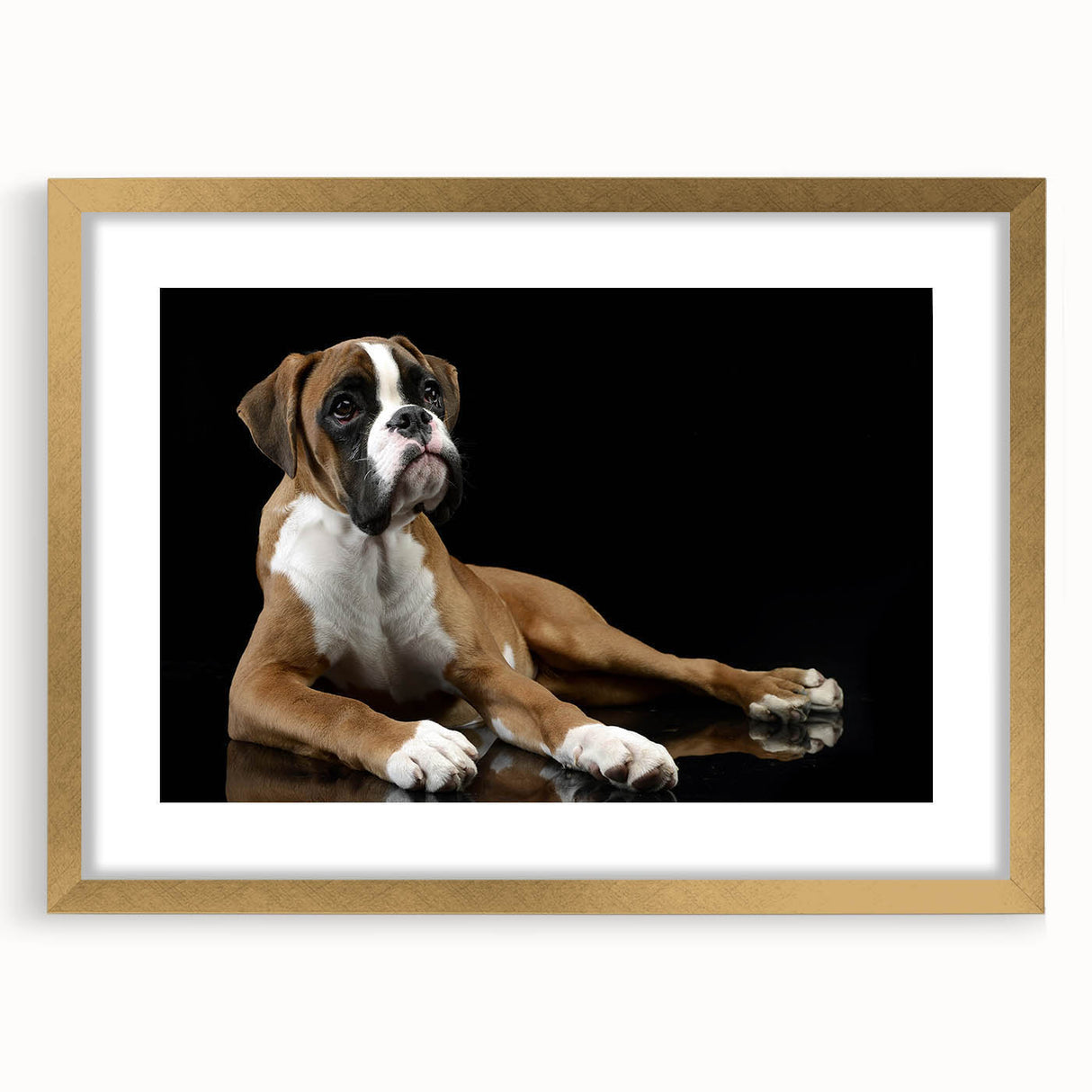 Framed wall art featuring a stylish boxer dog design with a gold mat, showcasing intricate details and a modern aesthetic, perfect for pet lovers' home decor.